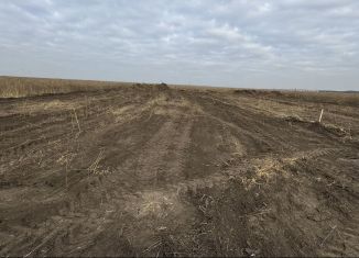 Продажа земельного участка, 5 сот., поселок Темерницкий, улица Цынгаль