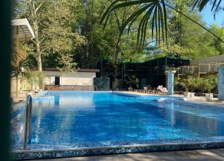 Сдается однокомнатная квартира, 18.8 м2, Сочи, улица Ленина, 219/6Б, микрорайон Курортный Городок