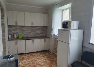 Сдаю в аренду коттедж, 295 м2, Свердловская область, Новая улица, 9