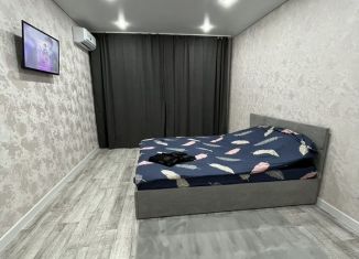 Сдается в аренду 1-ком. квартира, 42 м2, Республика Башкортостан, Московский проспект, 20