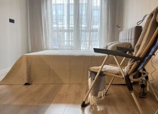 Сдам квартиру студию, 27 м2, Сестрорецк, улица Инструментальщиков, 18