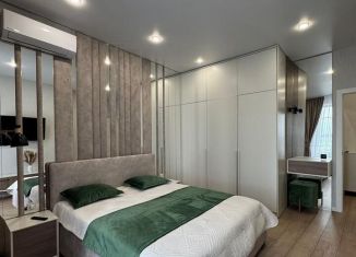1-ком. квартира в аренду, 42 м2, Краснодар, микрорайон Черемушки, Воронежская улица, 47/11