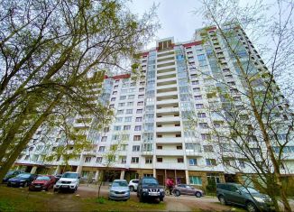 Продам 1-комнатную квартиру, 41.9 м2, Санкт-Петербург, Невский район, Рыбацкий проспект, 17к1