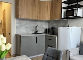 Сдается в аренду однокомнатная квартира, 45 м2, Новороссийск, улица Котанова, 2