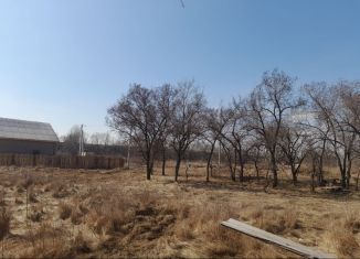 Продажа участка, 100 сот., деревня Чапаево, улица Мира