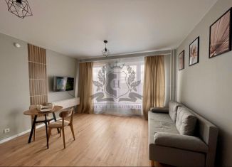 Аренда квартиры студии, 25 м2, деревня Новое Девяткино, Главная улица, 8к1