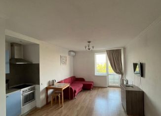 Сдаю в аренду квартиру студию, 30 м2, Ростов-на-Дону, улица 1-й Конной Армии, 37В, ЖК Молодёжный