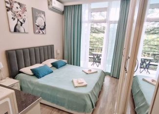 Сдается в аренду квартира студия, 20 м2, Сочи, Депутатская улица, 10Д, микрорайон Светлана