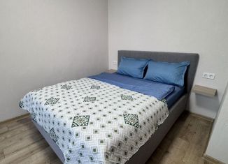 1-комнатная квартира в аренду, 42 м2, Санкт-Петербург, Московский проспект, 183-185Ак7, Московский район