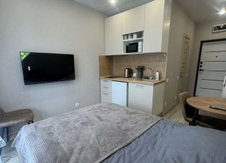 Сдаю в аренду квартиру студию, 18 м2, Сочи, Ясногорская улица, 16/2к6, микрорайон Бытха