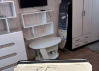 Аренда квартиры студии, 18 м2, Сочи, улица Чебрикова, 40, микрорайон Ареда