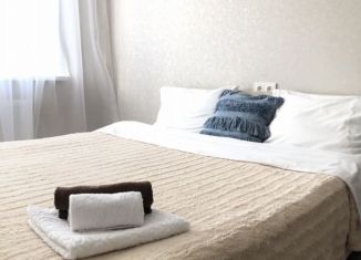 2-ком. квартира в аренду, 55 м2, посёлок Шушары, Московское шоссе, 256к1