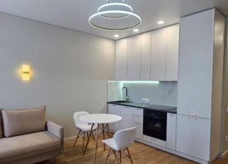 Сдача в аренду квартиры студии, 30 м2, Ростов-на-Дону, улица Нансена, 109/6, Октябрьский район