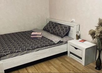 Сдаю в аренду 1-ком. квартиру, 40 м2, Нижний Новгород, улица имени Генерала И.Д. Ивлиева, 10к1