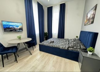 Сдача в аренду квартиры студии, 25 м2, Ростов-на-Дону, улица 15-я Линия, 8