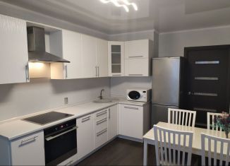 Сдача в аренду однокомнатной квартиры, 45 м2, Ростов-на-Дону, улица 1-й Конной Армии, 37, ЖК Молодёжный