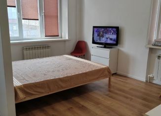 1-ком. квартира в аренду, 31 м2, Богородицк, улица Свободы, 49