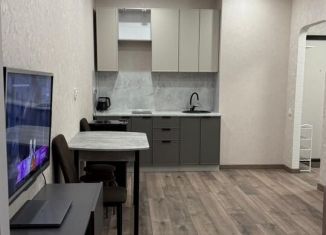 Сдача в аренду квартиры студии, 28 м2, Мурино, Екатерининская улица, 19