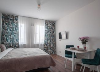 Сдам в аренду квартиру студию, 23 м2, Санкт-Петербург, улица Морской Пехоты, 26к2, метро Проспект Ветеранов