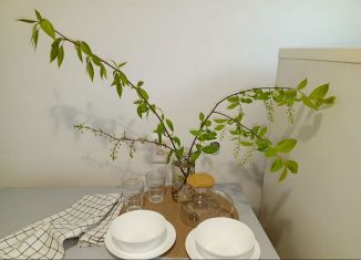 Сдаю 1-комнатную квартиру, 28.4 м2, Петергоф, улица Путешественника Козлова, 5