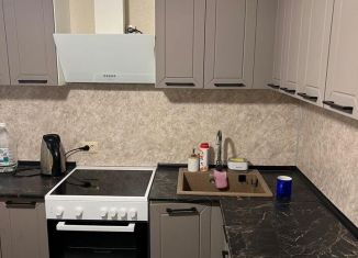 Сдается 1-ком. квартира, 38 м2, Санкт-Петербург, проспект Ветеранов, 135к3, метро Проспект Ветеранов