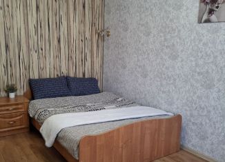 Сдается квартира студия, 25 м2, Шелехов, 1-й квартал, 3А