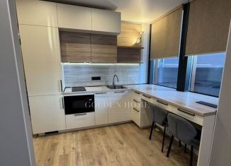 Квартира в аренду студия, 28 м2, Санкт-Петербург, проспект Энергетиков, 2к1, Красногвардейский район