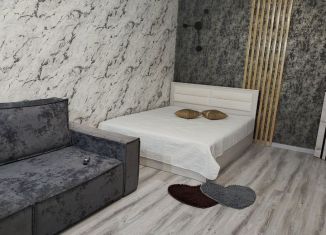 Сдам однокомнатную квартиру, 42 м2, Новомосковск, Московская улица, 1