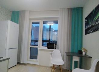 Сдается в аренду 1-ком. квартира, 45 м2, Новосибирская область, Онежская улица, 1