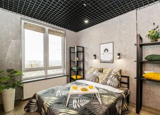 Сдам в аренду квартиру студию, 26 м2, Нижний Новгород, улица Максима Горького, 23А, Нижегородский район