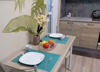 Сдаю квартиру студию, 30 м2, Санкт-Петербург, Плесецкая улица, 14, метро Комендантский проспект