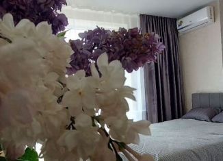 Сдаю квартиру студию, 33 м2, Ростов-на-Дону, улица Ерёменко, 110/2с1, ЖК Пятый Элемент