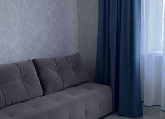 Квартира в аренду студия, 22 м2, Шелехов, 1-й квартал, 3