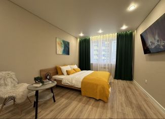 1-ком. квартира в аренду, 35 м2, Республика Башкортостан, улица Пархоменко, 151/2