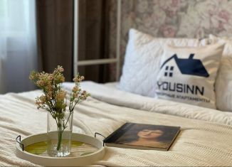 Квартира в аренду студия, 16 м2, Новосибирск, улица Гоголя, 29, Центральный район