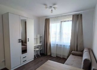 Продажа квартиры студии, 19.6 м2, Санкт-Петербург, Муринская дорога, 31к3, метро Гражданский проспект