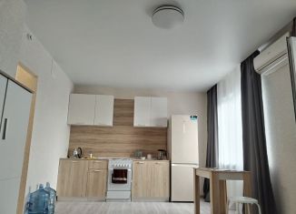 Аренда квартиры студии, 27 м2, Ростов-на-Дону, переулок Амет Хана Султана, 7, Октябрьский район