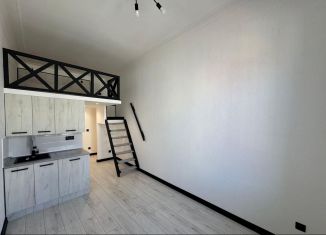 Продажа квартиры студии, 16.5 м2, Санкт-Петербург, Каменноостровский проспект, 44В, Петроградский район