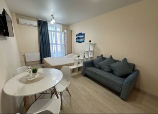 Аренда квартиры студии, 27 м2, Ростов-на-Дону, Элеваторный переулок, 12