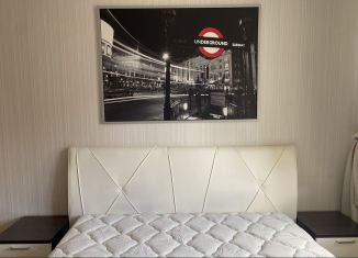 Сдаю в аренду однокомнатную квартиру, 34.4 м2, посёлок Парголово, улица Николая Рубцова, 12к1, ЖК Северная Долина