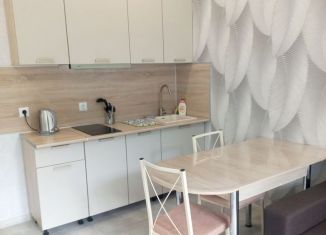 Сдам в аренду квартиру студию, 28 м2, село Краевско-Армянское, Измайловская улица, 20Ак2