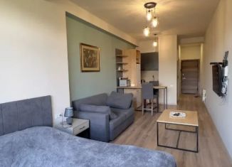 Продаю квартиру студию, 26 м2, Сочи, улица Гастелло, 40А, микрорайон Голубые Дали