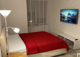 Сдается в аренду 1-ком. квартира, 34 м2, деревня Малое Карлино, деревня Малое Карлино, 25