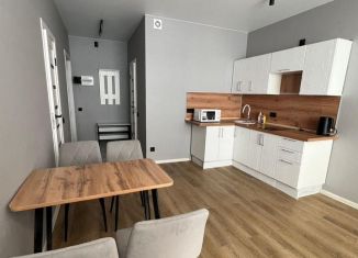 Сдаю квартиру студию, 31 м2, Нижний Новгород, улица Героя Советского Союза Аристархова, 7, метро Горьковская