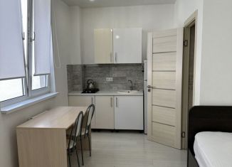 Сдается в аренду квартира студия, 22 м2, Сочи, улица Верхняя Лысая Гора, 10/12
