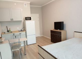 Сдается в аренду квартира студия, 27 м2, посёлок Шушары, улица Нины Петровой, 6к3