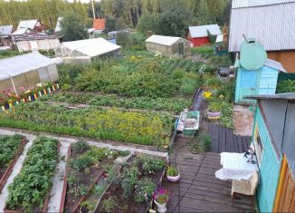 Продаю дом, 36 м2, Березники, СНТ № 54, 79