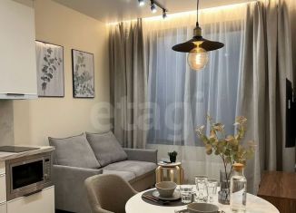 Продается квартира студия, 28.8 м2, Москва, ВАО, Тагильская улица, 2к1