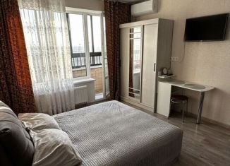 Аренда квартиры студии, 26 м2, Воронеж, улица Независимости, 78к2