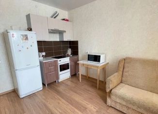 Сдам в аренду квартиру студию, 24 м2, Северодвинск, проспект Победы, 8
